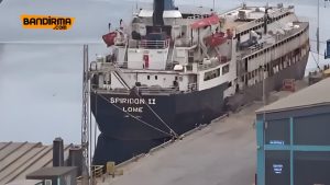 Navio com 2,9 mil vacas prenhes fica à deriva por quase dois meses 