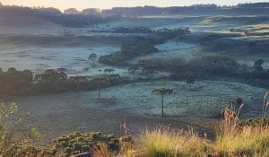 Às vésperas do verão:  Serra amanhece coberta por geada e madrugada registra 2°C