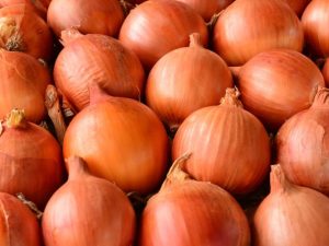 Colheita da cebola avança com expectativa de aumento na produção