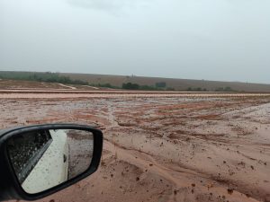 Após temporais, FAEP orienta procedimentos para minimizar estragos no campo