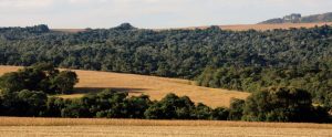 Produtor rural terá até 50% de desconto em multas ambientais