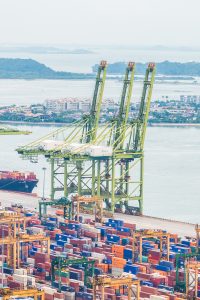 UE adia a lei antidesmatamento por mais um ano e dá fôlego aos exportadores