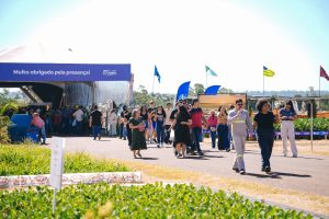 Dia de Campo de Primavera da C.Vale atrai 20 mil pessoas
