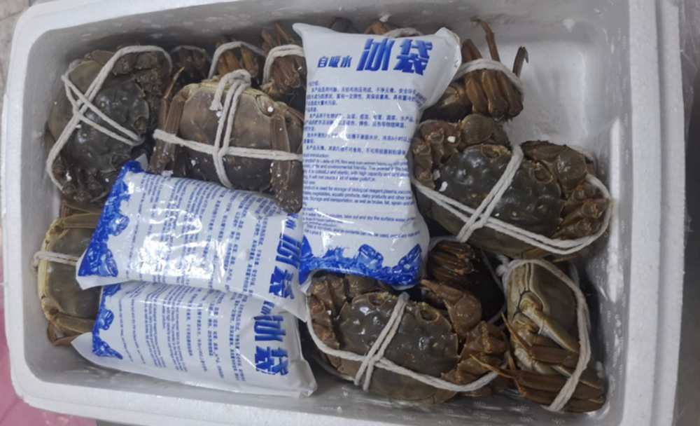 Vigiagro apreende 240 caranguejos em bagagem internacional