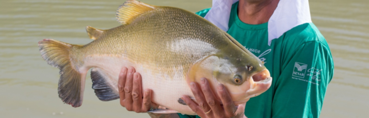 PL que traz avanços para a aquicultura no país é uma vitória, segundo CNA
