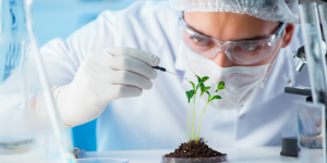 Biodiversidade passa de tema ambiental a oportunidade para o agro