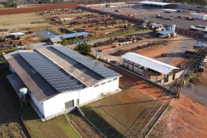 Edital de R$ 100 milhões vai apoiar projetos da agricultura familiar