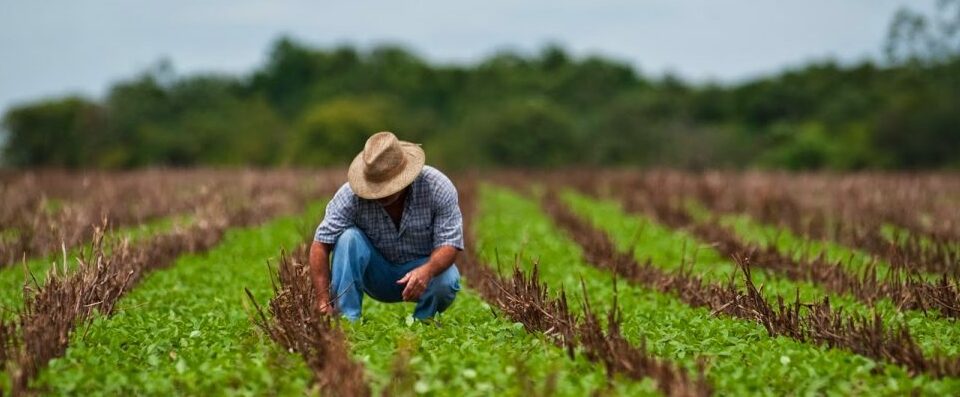 Prorrogado prazo da restrição no crédito por regra ambiental