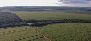 Qual o defensivo agrícola mais comercializado no Brasil?
