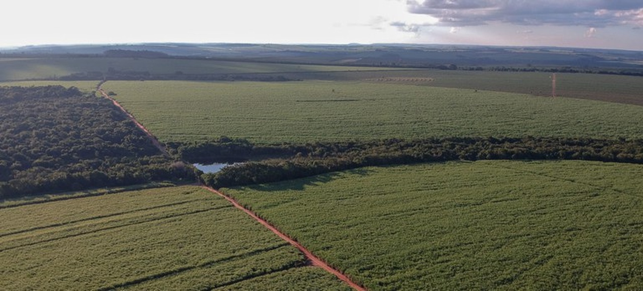 Qual o defensivo agrícola mais comercializado no Brasil?