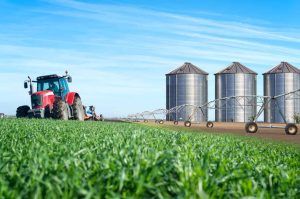 Recuperações judiciais no agro devem seguir em alta em 2026