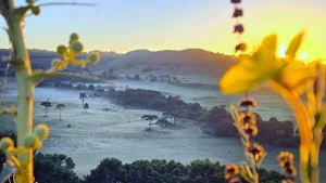 Frio de 1ºC em SC e 3ºC no RS provoca geada a poucos dias do Natal