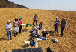 Plantio direto e terraços garantem maior produtividade de grãos