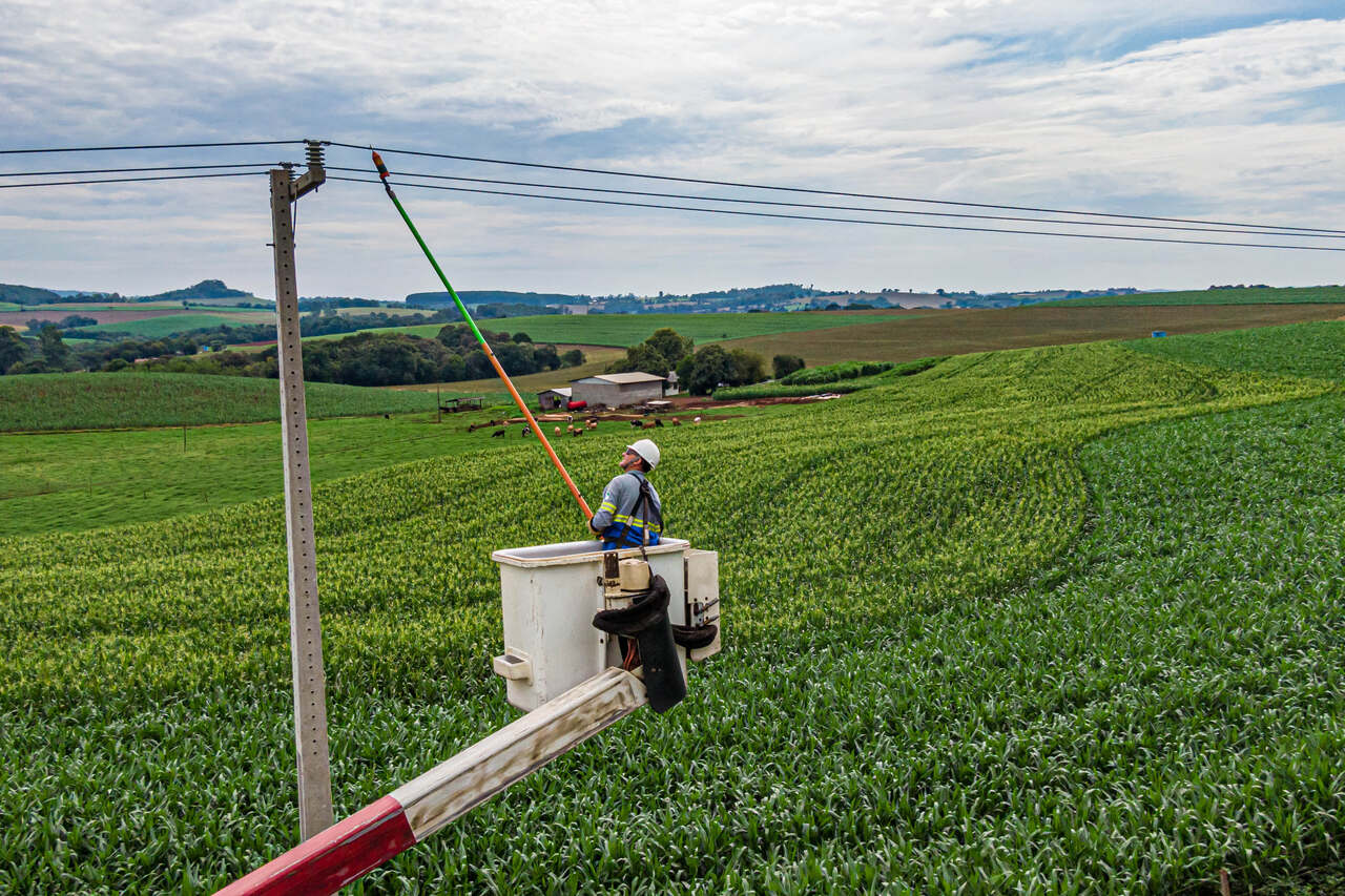 Paraná Trifásico fortalece a agroindústria com energia mais potente