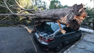 Cinco Estados tiveram ventos acima de 100km/h