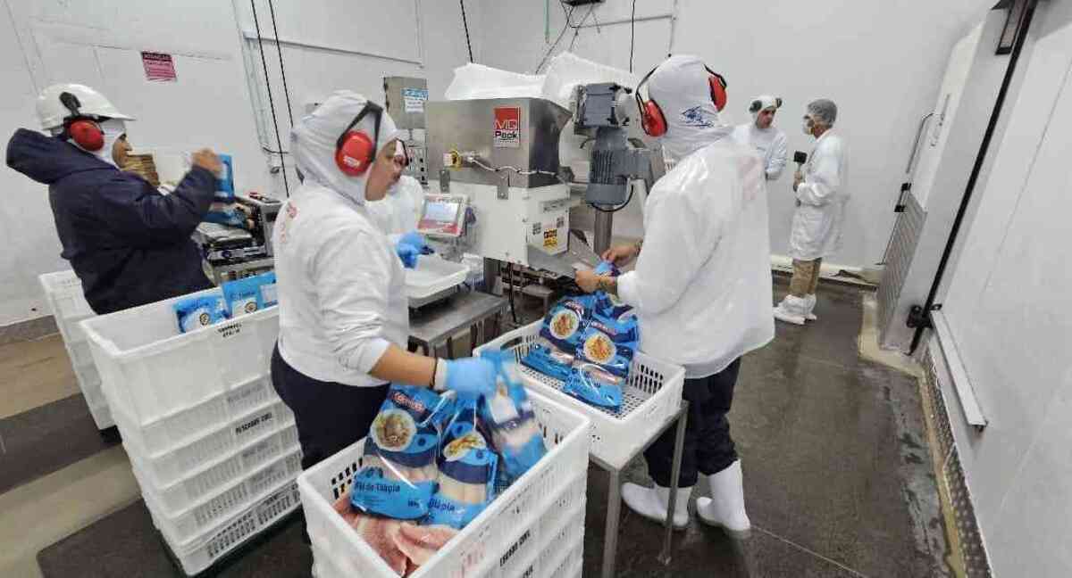 Piscicultura será um dos destaques do Show Rural 2026