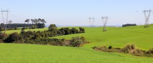 Lei que transfere limpeza do entorno da rede elétrica ao produtor é inadequada