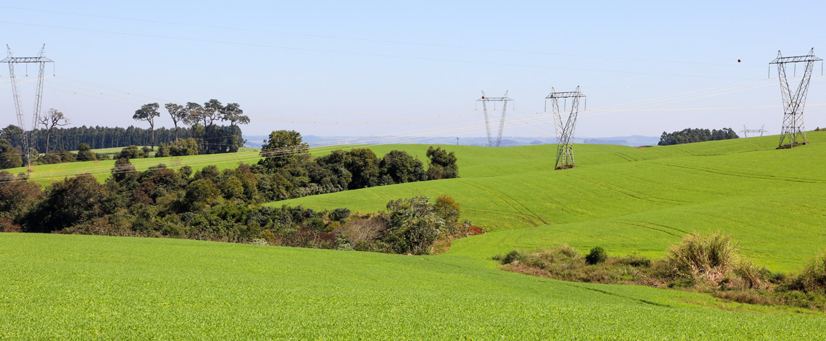 Lei que transfere limpeza do entorno da rede elétrica ao produtor é inadequada