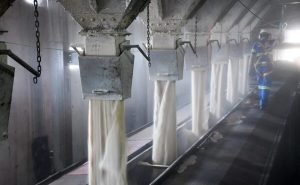 Acordo UE-Mercosul: Ganhos para pequenos produtores, enquanto Europa suspende o açúcar