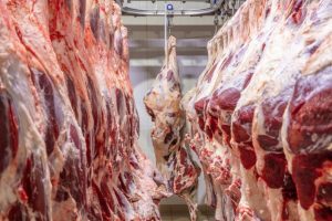 Exportações de carne bovina devem bater 3,5 milhões de toneladas em 2026