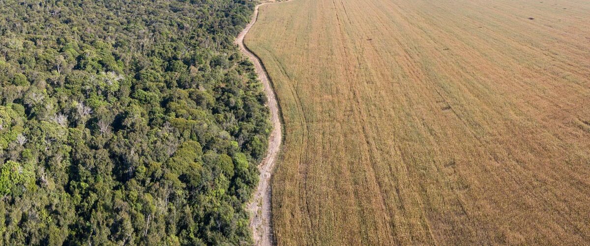 FAEP critica veto presidencial ao PL da faixa de fronteira e georreferenciamento