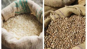 Arroz e feijão começam o ano em caminhos opostos