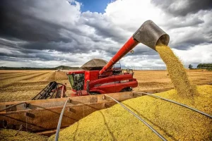 Conab reduz estimativa para safra de soja 2025/26