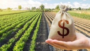 Veto à LDO retira proteção ao seguro rural e reacende insegurança para o agro