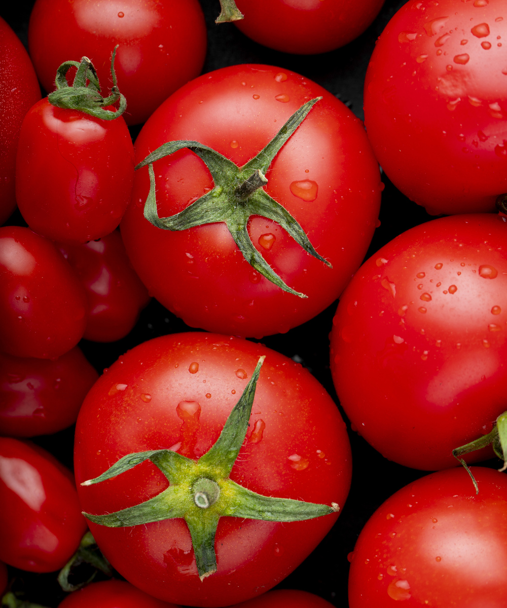 Cotações Agropecuárias: Desaceleração da safra de tomate e menor produtividade elevam cotações