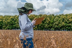 Pesquisas científicas voltadas ao campo tornam lavouras mais eficientes e econômicas