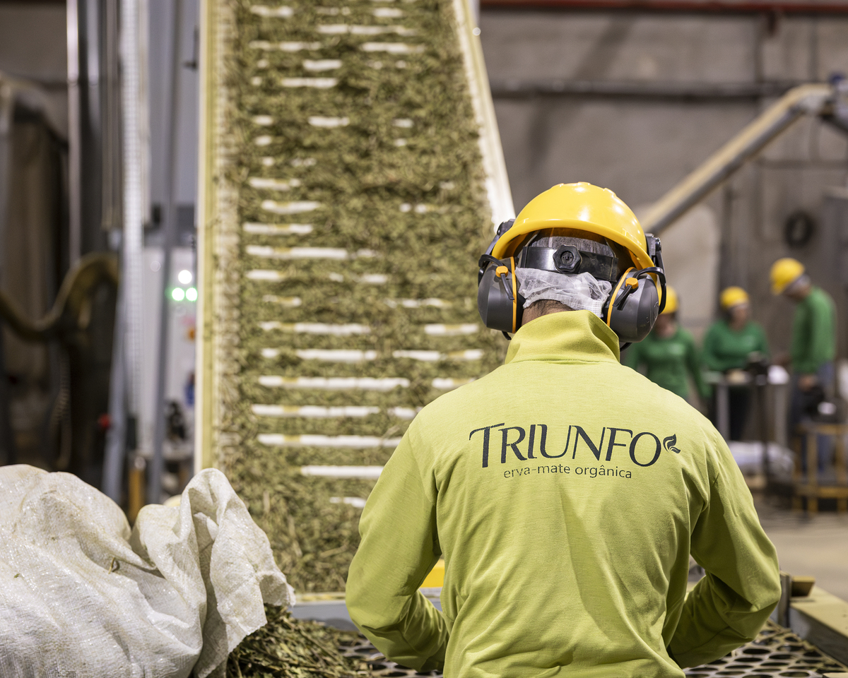 Cursos da FAEP impulsionam negócios internacionais em ervateira