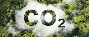 Mercado de carbono atrai produtores, mas exige cautela
