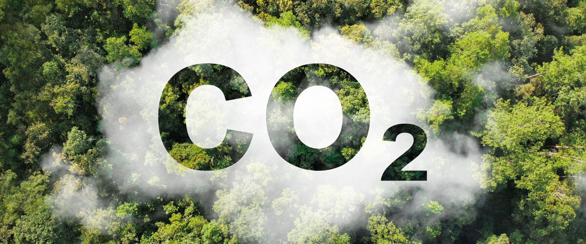 Mercado de carbono atrai produtores, mas exige cautela