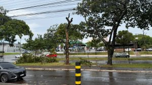 Rajadas de vento assustam em Foz