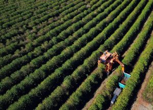 Agronegócio somou R$ 1,26 bilhão em contratações do BRDE em 2025