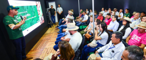 Plataforma monitora cigarrinha-do-milho nas lavouras