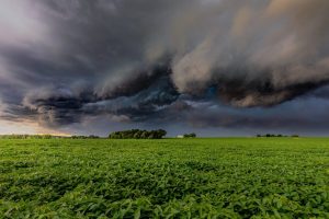 Plano Clima atrasa e gera incertezas sobre regras, crédito e investimentos