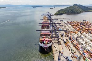 Porto concentra quase metade das exportações de frango do Brasil