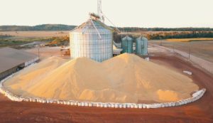 Escassez de armazenagem força venda na colheita e derruba renda rural