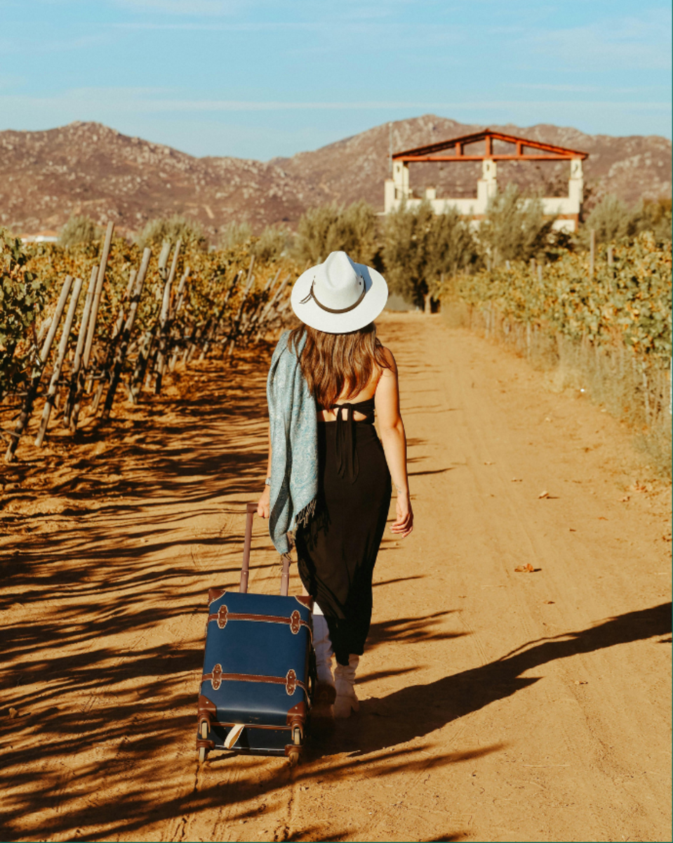 Novas regras para entrada de produtos agropecuários na bagagem de viajantes