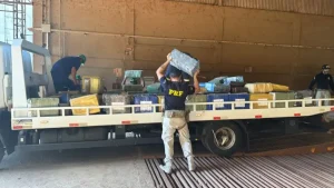 Carga de soja escondia 3.160 quilos de maconha