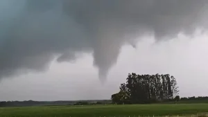 Segundo tornado em poucos dias provoca estragos em área rural