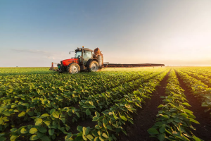 Agro cresce, mas juros altos e falta de seguro rural são entraves ao setor