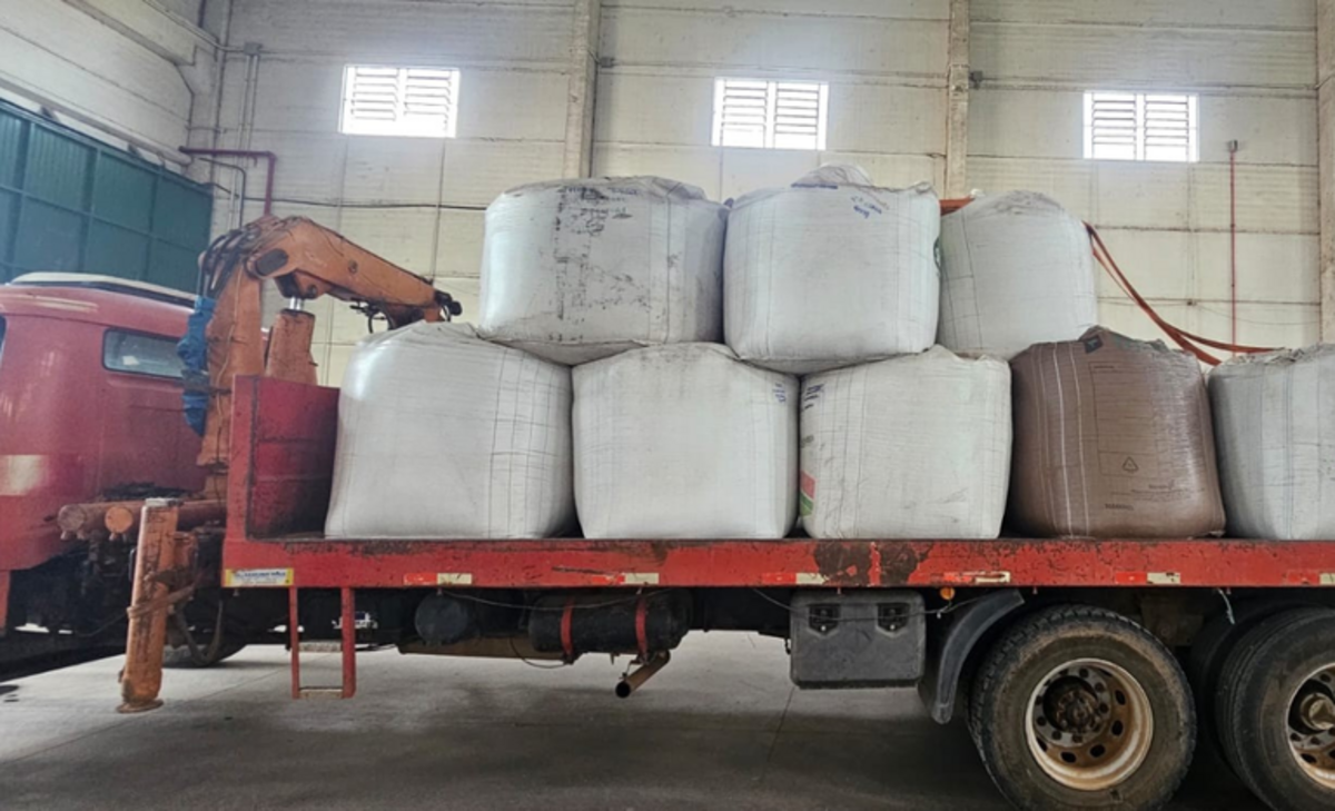 368 toneladas de sementes irregulares são apreendidas