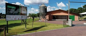 Aviário escola da FAEP contribui para alavancar avicultura