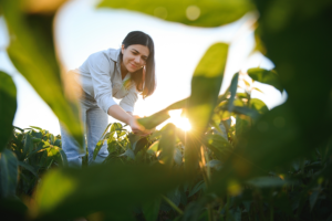 Mulheres ganham espaço no agro