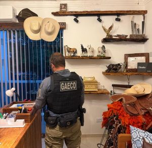 Boi Fantasma: Gaeco cumpre mandados de busca e apreensão por crimes em transações com bovinos
