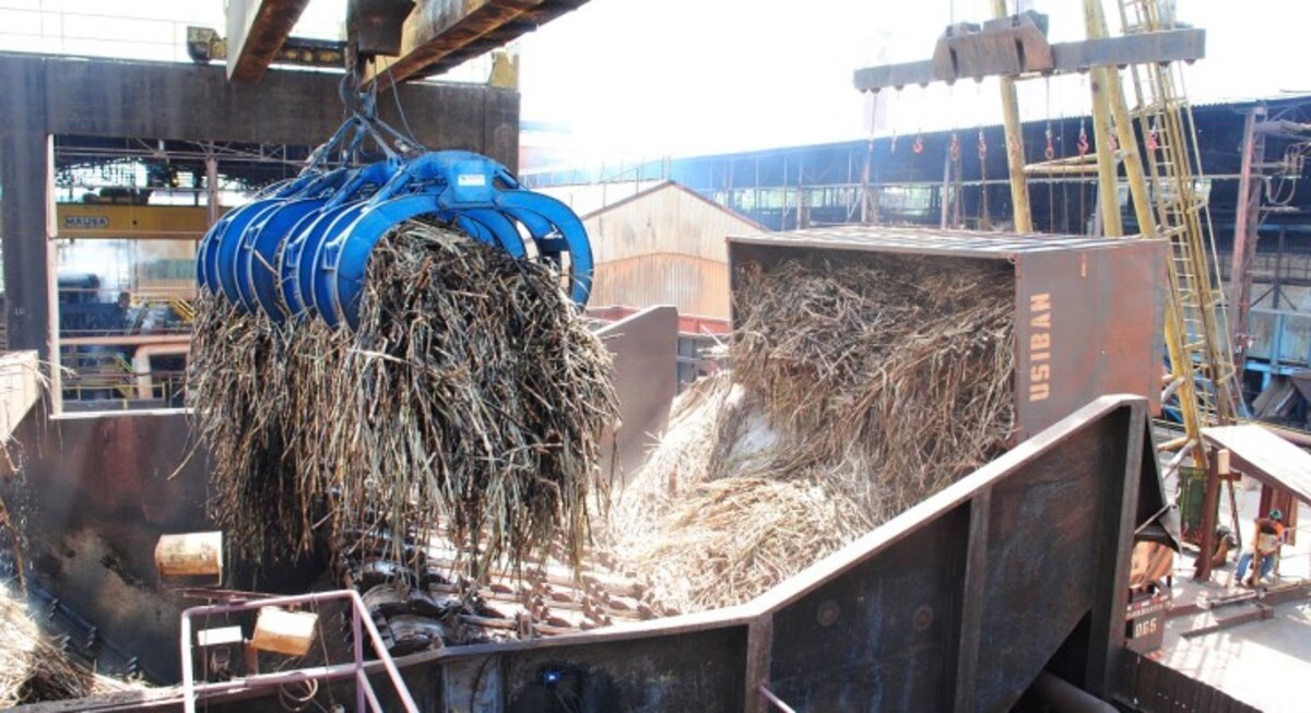 Produção de cana deve superar 620 milhões de toneladas