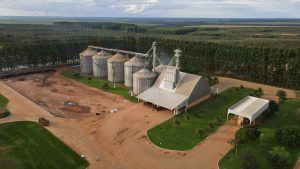 Déficit de armazenagem continua pressionando produtores