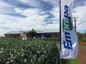 Parceria entre Embrapa e FAO mira produtividade e renda no campo